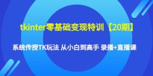 (4551期)tkinter零基础变现特训【20期】系统传授TK玩法 从小白到高手 录播+直播课-副业吧
