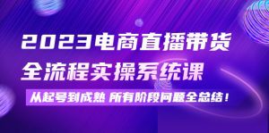 （4325期）2023电商直播带货全流程实操系统课：从起号到成熟所有阶段问题全总结！-副业吧