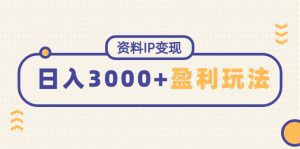 （4576期）资料IP变现，能稳定日赚3000起的持续性盈利玩法-副业吧