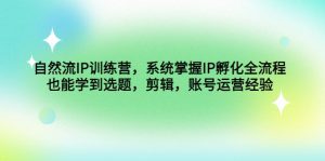 （4688期）自然流IP训练营，系统掌握IP孵化全流程，也能学到选题，剪辑，账号运营经验-副业吧