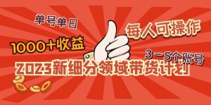 (4827期)2023新细分领域带货计划:单号单日1000+收益不难,每人可操作3-5个账号-副业吧
