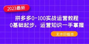 （4835期）2023拼多多0-100实战运营教程，0基础起步，运营知识一手掌握（无水印）-副业吧