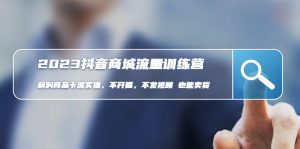 （4850期）2023抖音商城流量班：利润商品卡流实操，不开播-不发视频-也能卖货(无水印)-副业吧