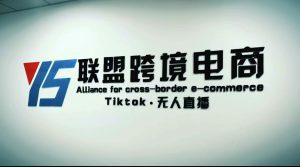 （5016期）Tiktok无人直播，不出镜不剪辑不拍摄不发货无售后的跨境短视频躺赚玩法-副业吧