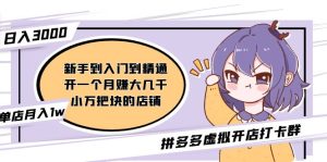 (5023期)拼多多虚拟开店打卡群:入门到精通(昨日群里有小伙伴日入3000+)2月26更新-副业吧