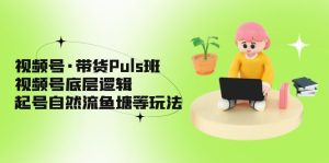 （5027期）视频号·带货Puls班，视频号底层逻辑，起号自然流鱼塘等玩法-副业吧