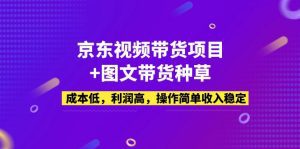 (5035期)京东视频带货项目+图文带货种草,成本低,利润高,操作简单收入稳定-副业吧