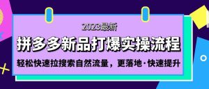 （5036期）拼多多-新品打爆实操流程：轻松快速拉搜索自然流量，更落地·快速提升!-副业吧
