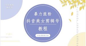 （5109期）抖音快手暴力涨粉美女混剪视频教程 百分百过原创图片教程 附带违规申诉方法-副业吧