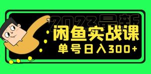 （5117期）花599买的闲鱼项目：2023最新闲鱼实战课，单号日入300+（7节课）-副业吧