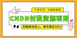 (5137期)CNDN付费资源项目,不用引流,无需做客服,后期被动收入,每天稳定300+-副业吧
