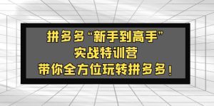 （5173期）拼多多“新手到高手”实战特训营：带你全方位玩转拼多多！-副业吧