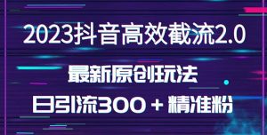 （5293期）日引300＋创业粉，独家抖音高效截流2.0玩法（价值1280）-副业吧