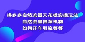 （5327期）拼多多自然流量天花板实操玩法：自然流量推荐机制，如何开车引流等等-副业吧