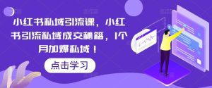 （5352期）小红书私域引流课，小红书引流私域成交秘籍，1个月加爆私域！-副业吧