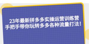 （5435期）23年最新拼多多实操运营训练营：手把手带你玩转多多各种流量打法！-副业吧