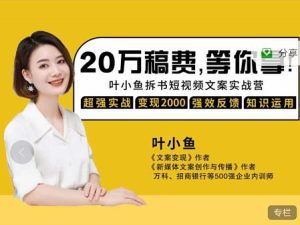 叶小鱼21天短视频文案拆书营,学完轻松搞定各类书单短视频文案-副业吧