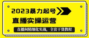 (5475期)2023暴力起号+直播实操运营,全套直播间精细化实战,全套干货教程!-副业吧