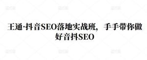 王通·抖音SEO落地实战班,手手带你做好音抖SEO-副业吧