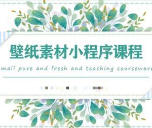 闪闪壁纸号运营教程,抓住图文风口,快速吸粉变现-副业吧