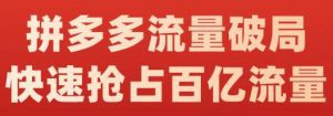 阿杰·拼多多流量破局:如何打黑标,爆款的思路,拼多多流量框架,快速抢占百亿流量-副业吧