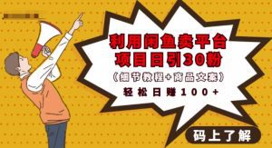 利用闲鱼卖平台项目课程资源日引流30+精准粉丝,轻松日赚100+,积累人脉可实现二次变-副业吧