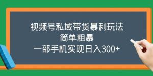 （5544期）视频号私域带货暴利玩法，简单粗暴，一部手机实现日入300+-副业吧