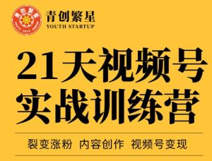 张萌21天视频号实战训练营，裂变涨粉、内容创作、视频号变现 价值298元-副业吧