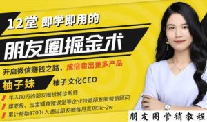 【营销必学】12堂学之即用的朋友圈掘金术:开启你的副业赚钱之路-副业吧