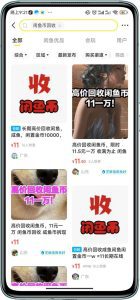 闲鱼挂机单号3元/天，每天仅需2分钟，可无限放大，稳定长久挂机项目！-副业吧