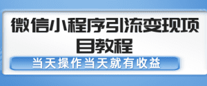 微信小程序引流变现项目教程，当天操作当天就有收益，变现不再是难事-副业吧