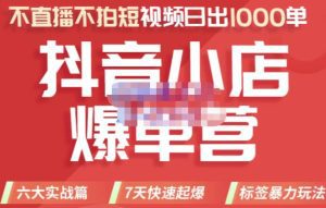 推易电商·2022年抖音小店爆单营，不直播、不拍短视频、日出1000单，暴力玩法-副业吧