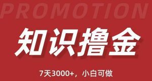 （5629期）抖音知识撸金项目：简单粗暴日入1000+执行力强当天见收益(教程+资料)-副业吧