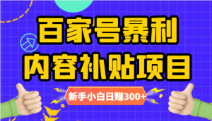 百家号暴利内容补贴项目，图文10元一条，视频30一条，新手小白日赚300+-副业吧