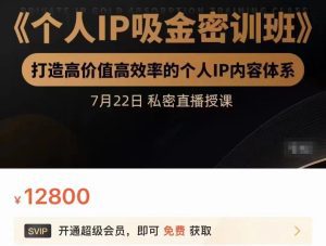 个人IP吸金密训班，打造高价值高效率的个人IP内容体系（价值12800元）-副业吧