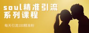 soul精准引流系列课程，每天引流100精准粉-副业吧