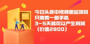 今日头条中视频搬运项目，只需要一部手机3-5天就可以产生利润（价值2800元）-副业吧