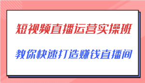 短视频直播运营实操班,直播带货精细化运营实操,教你快速打造赚钱直播间-副业吧