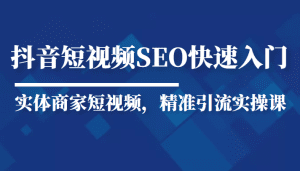 抖音短视频Seo搜索排名优化新手快速入门教程，实体商家短视频，精准引流实操课-副业吧