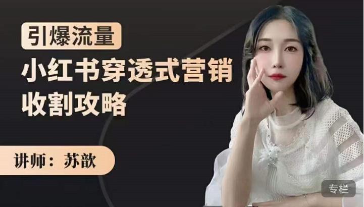 苏歆：小红书穿透式营销收割攻略，引爆流量，助你玩转小红书-副业吧