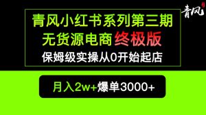 （5723期）小红书无货源电商爆单终极版【视频教程+实战手册】保姆级实操从0起店爆单-副业吧