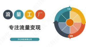 收费3980的流量工厂回粉项目，号称1个粉10元【详细玩法教程解析】-副业吧