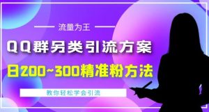 价值888的QQ群另类引流方案，半自动操作日200~300精准粉方法【视频教程】-副业吧