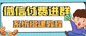 外面卖1000的红极一时的9.9元微信付费入群系统：小白一学就会（源码+教程）-副业吧