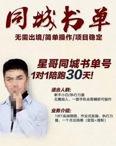 星哥同城教育书单号课程，无需出境简单操作项目稳定-副业吧