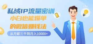 私域IP流量密训:小白也能爆单的微信赚钱法,从月薪三千到月入10000+-副业吧