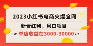 (5840期)2023小红书电商火爆全网,新晋红利,风口项目,单店收益在3000-30000!-副业吧