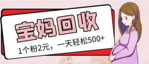 最新小红书母婴号宝妈粉回收项目，1个粉2元，一天轻松500+案例分享【粉丝包回收】-副业吧
