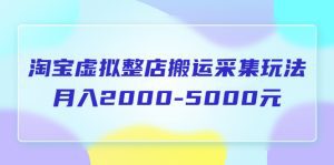 （5931期）淘宝虚拟整店搬运采集玩法分享课：月入2000-5000元（5节课）-副业吧