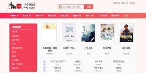 （5933期）粉色新主题YGBOOK小说网站搭建，带自动采集 可广告变现【教程+源码】-副业吧